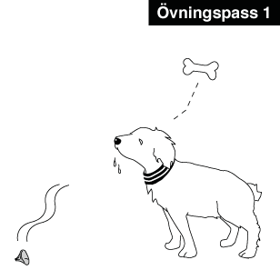 Illustrationsexempel Plocka svamp med hund